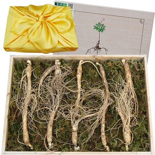 아리아리산삼 6년근 8년근 10년근 산삼 산양삼 장뇌삼 산양산삼 장뇌 자연산 주 설 추석 선물세트, 1개, 선택1. 6년근 10뿌리