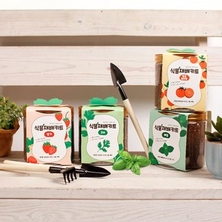 이지그로우 방울토마토 딸기 고수 바질 키우기 키트, 05재배키트-루꼴라