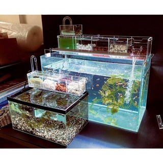 60*30*30*cm壓克力魚缸 含上過濾盒約58*10*10cm(含水泵送滴流盒及滴流過濾盒上下蓋), 1個