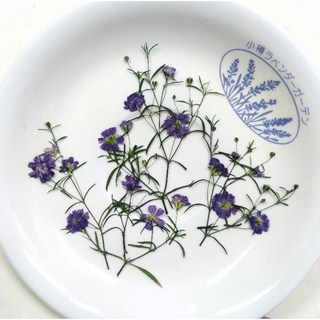 小梅ラベンダーガーデン 紫色霞草乾燥花押花材料 DIY手作天然植物標本
