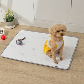 듀라론 냉감 논슬립 카페트 애견용 매트 방석 패드 개시원 쿨 패드 댕댕이 필수템 소형 대형 강아지 방석 쿠션, 핑크, 1개