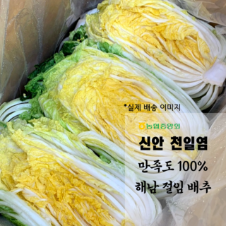 재구매율100% 맛있는 해남절임배추20kg, 12월 10일(수) 도착, 1박스, 20kg