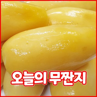 전통방식 국산 무짠지 1kg 여름철 대표 밑반찬, 1개