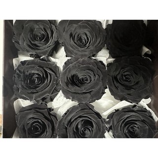 大地農園不凋永生玫瑰花05202/05208九輪單色(以朵計價)-花藝夢, 黑玫瑰（獨家）