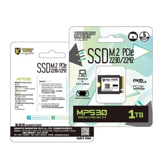 AITC 艾格 KINGSMAN MP530 M.2 2230 PCIe Gen3 SSD 1TB (Mac A1708適用)