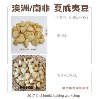 生夏威夷豆 澳洲4L / 南非4XL 剖半 原味堅果 600g, 1個, 澳洲夏威夷豆4L(越南剝殼)600g