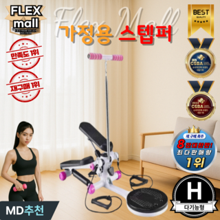 플렉스몰 스텝퍼 트위스트 가정용 천국의 계단 실내 홈트 핸들형 저소음 하체 허리 운동기구, H