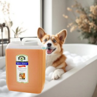 샴푸 주황 4L 펫샵 애완견 푸들 비린내