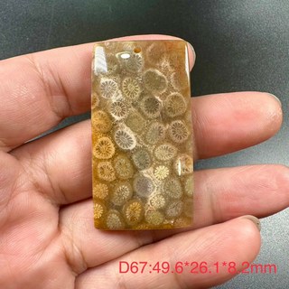 珊瑚玉菊花石吊墜 D67 全透光 尺寸49.6*26.1*8.2mm