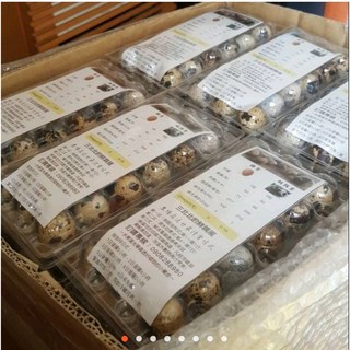 原興鵪鶉 菁英鮮鶉蛋 42盒*18顆共756顆 烤鳥蛋 農場直送 寵物犬零食, 1個, 10g