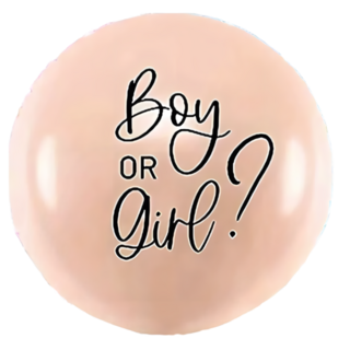 不易破乳膠性別揭曉派對佈置氣球, 大地色, 1個