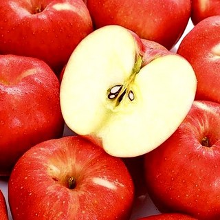 [최저특가] 하루200박스한정 초고당도 꿀Brix 부사사과, 1박스, 2kg