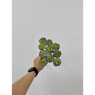 泰國索拉牡丹擴香花 (白心) 5公分 不凋永生花 乾燥花 單支販售, 星空墨綠, 1個