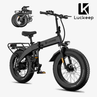 Luckeep 미국 접의식 전기자전거 mtb 성인용 배달용 PAS 고출력750W X1-Lite, 그레이750w, 경량스틸