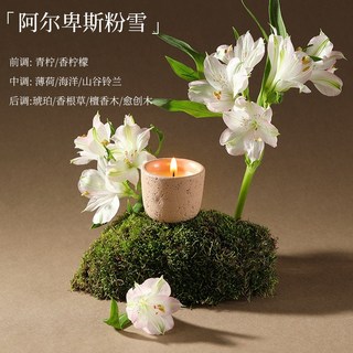雅風天然大豆香薰蠟燭，七夕生日禮物，臥室香氛擺件，持久香氛，臺灣出貨, 1個, 阿爾卑斯粉雪