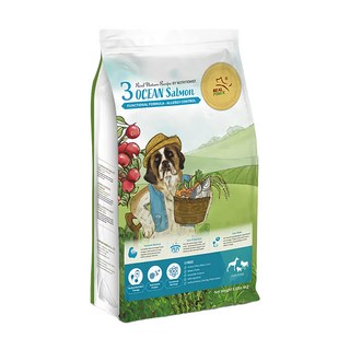 REAL POWER 瑞威 全犬3號 乾飼料 含鮭魚、Omega-3 適用於敏感體質, 海洋魚貝, 4kg, 1袋