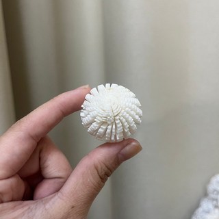 S-A 索拉花 3CM 通草花 擴香花 3CM 乒乓菊 小菊, 00原色, 1個