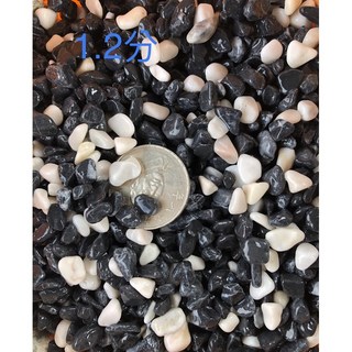 魚缸底沙 五彩石 黑白石 水族造景 盆栽鋪層優選 天然材質 淨化水質 一公斤35元, 1個, 1.2分, 1kg