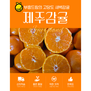 "[산지직송] 고당도 제주 부흥드림 감귤 5kg", 1박스, 5kg 중대과