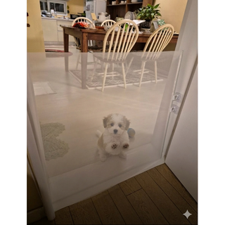 모노리 반려동물 무타공 슬라이딩 길이조절 안전문 메쉬 울타리 가림막 펜스, 1개, 화이트