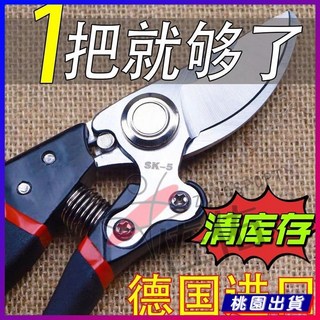 園藝大剪刀 園林花剪 花木修枝剪 草坪綠籬剪 強力修剪, 1個
