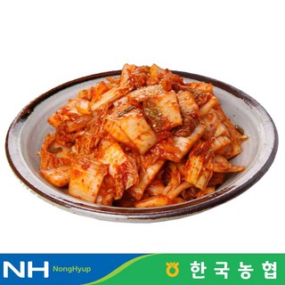 한국농협 마이산김치 국내산 막김치 5kg, 1개