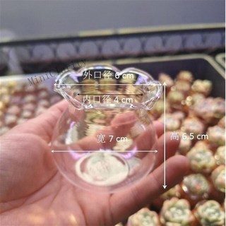 台灣發貨 超萌迷你7cm多肉玻璃瓶花邊魚缸拇指盆 高顏值陽臺花園, 7cm*6.5cm多肉玻璃瓶（不含多肉）,1個, 1個