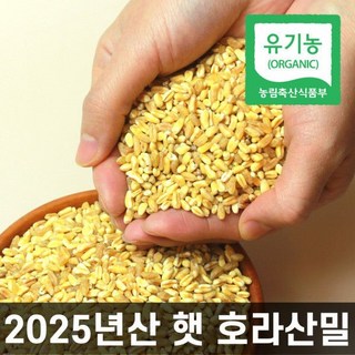 국내산 유기농 호라산밀 1kg 25년산 햇 잡곡 국산 무농약 재배 카무트 쌀 파로곡물 파로밥 고대곡물 효소