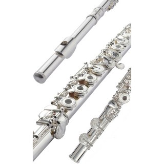 Elegant FL-6130 整支925純銀雕花開孔長笛 (附E鍵), 詳見包裝