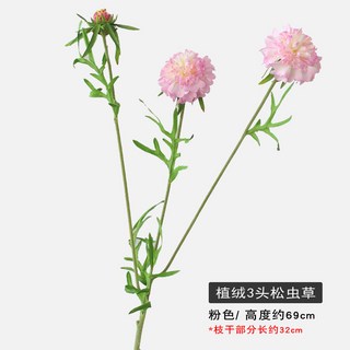 松蟲草仿真花窄葉藍盆花客廳家居裝飾路引布置假花仿真花束仿真花永生花人造花乾燥花永不凋零拍照道具假花裝飾居家裝飾, 粉色, 1個