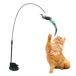 디에스와이 고양이 낚시대 깃털 장난감, DSYJ / C02, 1개