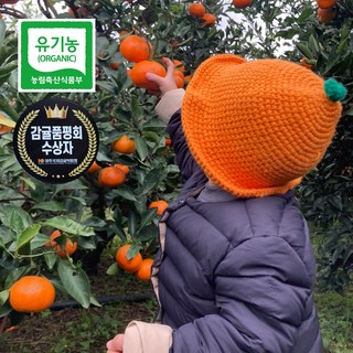 제주 친환경 유기농 산하홍 노지감귤 혼합과, 1박스, 5kg