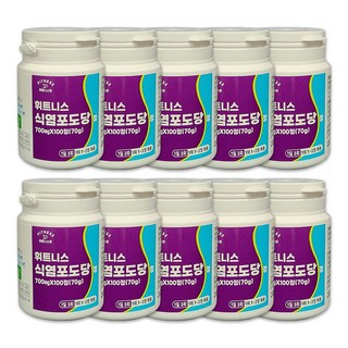 휘트니스 전해질보충 식염포도당, 100정, 10개