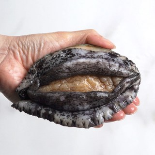 완도사랑 싱싱할 활 전복 완도산 직거래 산지직송 산소포장, 1개, (소전복) 20-25미 (산소포장), 1kg