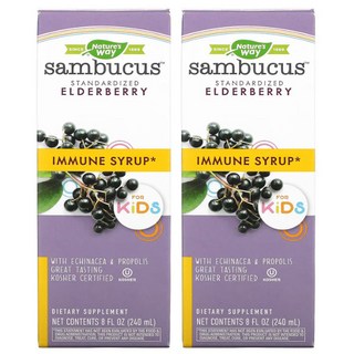 2개 Natures Way 삼부커스 포 키즈 어린이 엘더베리 시럽 240 ml, 240ml