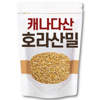 캐나다산 오리지널 호라산밀 고대곡물, 1개, 2kg