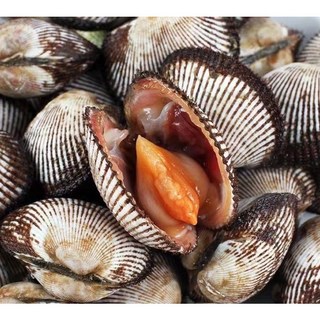 벌교 여자만 갓 수확한 생물 특대 새꼬막 3kg 산지직송 생꼬막, 1박스, 새꼬막 1kg (중사이즈)