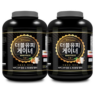 웨이테크 WP 게이너 단백질보충제 /복합형 벌크업 헬스보충제/ 더블유피게이너, 4kg, 2개