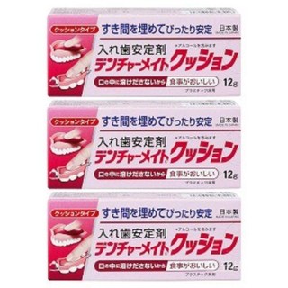일본 덴처메이트 틀니 의치 접착제 안정제 12g 3개 세트, 12ml