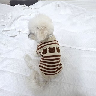 위즈멍스 FW 곰세마리 감성니트 포근한 강아지 데일리룩, 1개, 곰세마리 로미브라운