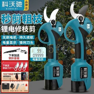 臺灣出貨 品質保證 保固一年 【輕巧便攜】德國電動剪刀鋰電修枝剪果樹剪無綫樹枝粗枝剪園藝修枝剪刀, 1個, 科沃馳-專業電動修枝剪刀,4.0高配款一電一充+3刀