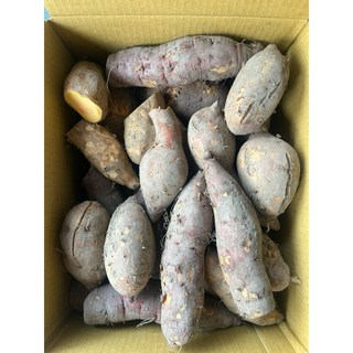 超值NG地瓜，每斤28元，4-8斤自由選，質量保證，健康美味首選, 一斤NG福利地瓜