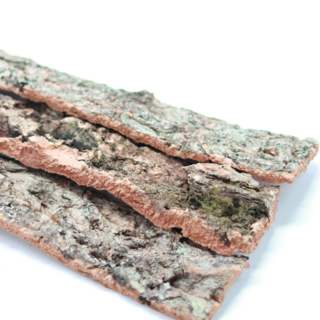 코르크바 30cm 테라리움 파충류 양서류 유목 2개입, 2개