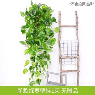 【Sunday】仿真綠蘿壁掛 客廳綠植裝飾 垂吊塑膠假花藤條 室內植物綠葉藤蔓吊蘭盆栽 黃金葛過膠壁掛, 新款綠蘿吊蘭1束, 1個