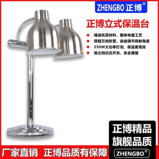 뷔페 양방향 가열 매장용 램프 실버 온열램프 케이터링, DZ-2실버