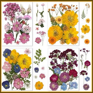 手賬系列 花包組合 真花壓花 永生花 森林系 少女寫真 壁畫 DIY水晶滴膠 乾燥花 植物標本, 手賬系列-K,量大諮詢
