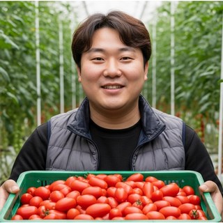 청년농부 고당도 대추방울토마토, 1개, 1kg(대과)