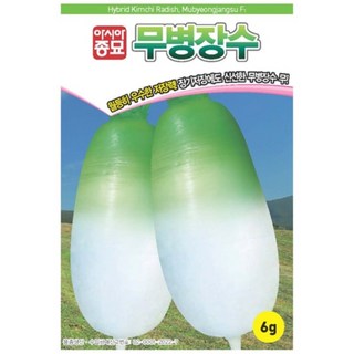 무씨앗종자 무병장수 (6g 2000립), 1개