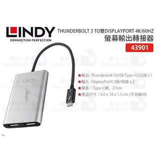 LINDY 林帝 Thunderbolt 3 雙 DisplayPort 4K/60Hz 螢幕輸出轉接器, 1個