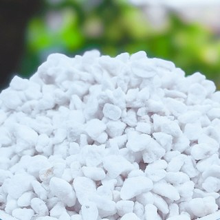 珍珠石 - 園藝盆栽介質，改善排水通氣，促進植物健康生長, 1個, 1L, 中粒